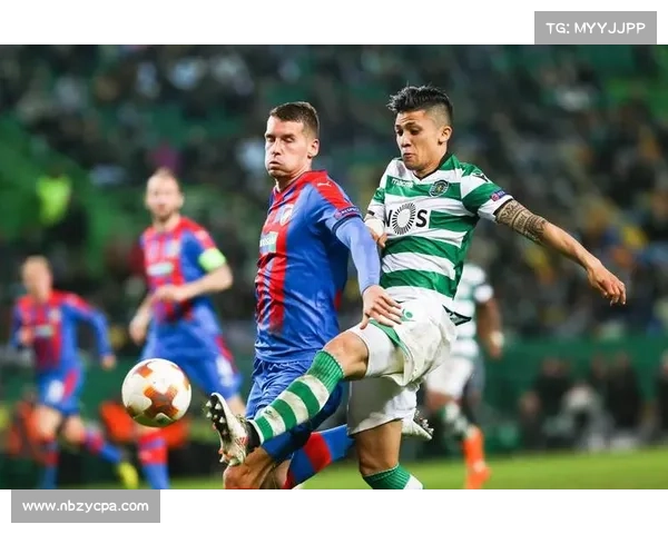 深入解析欧冠赛事的五大关键特点与独特魅力